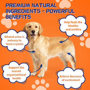 Supplementi nutrizionali per la salute dei reni della fabbrica di Guangdong per cani integratori personalizzabili per il sistema della vescica per gatti e animali domestici - Product Image 3