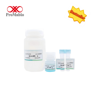 Усовершенствованный набор для количественного определения белка BCA (500 тестов, чистота 99%) для точного измерения концентрации белка в лабораторных условиях - Product Image 1