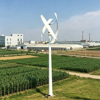 Éolienne verticale industrielle 48V 220V hors réseau/sur réseau, sortie triphasée AC 3000W, pour ferme et usine