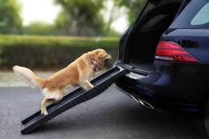 फैक्टरी कस्टम पालतू सीढ़ी रैंप बड़े कुत्तों के लिए Foldable कुत्ते कार रैंप काले कदम कार - Product Image 6