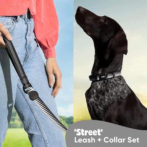 Conjunto de correa para <span class=keywords><strong>Collar</strong></span> de perro con diseño personalizado, hebilla de <span class=keywords><strong>Metal</strong></span> para entrenamiento, venta al por mayor de fábrica, Oem - Product Image 5