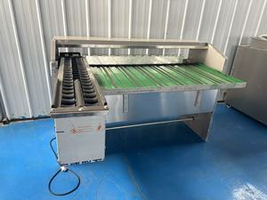Chất lượng cao trứng tự động phân loại quá trình dòng quy mô học sinh lớp Mini SORTER trứng máy/trứng phân loại máy - Product Image 6