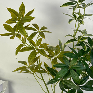 Feuille de fortune artificielle Jinxi, plante verte en soie pour décorations intérieures et extérieures, mariages et décoration de la maison Y-0929-1 - Product Image 1