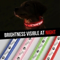 Collier lumineux pour chien, LED, rechargeable par USB, anti-perte, trois tailles