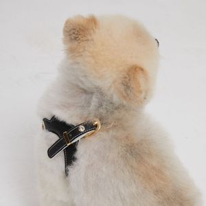 Arnés de Cuero Premium Resistente al Agua para Perros, Arnés Acolchado para Pasear Mascotas con Forro de Secado Rápido para Aventuras al Aire Libre - Product Image 4