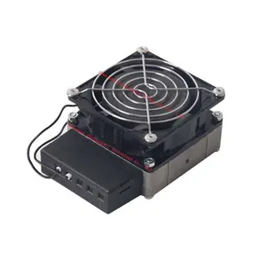 Termostato automático personalizado ZBW, calentador PTC, calefacción de espacio pequeño, 50W-100W, 12V, 24V, 48V, 110V, 220V, incubadoras de huevos, herramientas de calefacción Diy