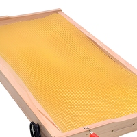 Neues elektrisches Heizgerät zum Einbetten von Bienenwabenrahmen, China Imkerei-Werkzeug, EU-Stecker, 110-240V, 60W, 3 Monate Garantie