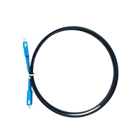 Câble de raccordement à fibre optique FTTH réseau 4G/3G 30m 3.0mm avec cordon de raccordement SC/APC LC/APC pour utilisation