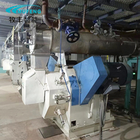 Granulateur à filière annulaire à haut rendement machine à granulés d'alimentation malaisie
