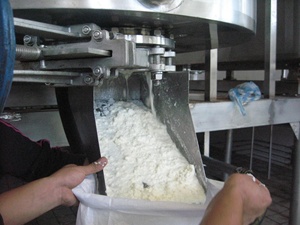 Vasca per Formaggio in Acciaio Inox da 500L per Linea di Produzione Casearia/Formaggio - Product Image 5