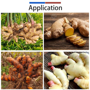 1T/H Customized Turmeric Ginger <b>Processing</b> <b>Line</b> 304 Stainless Steel Large Capacity Pump Washing Peeling Blanching Cutting - Product Image 6