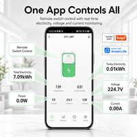 API TUYA WI-FI DIN Rail Smart Switch Meter 90-240V Smart MCB Circuit Breaker Remote Control 6A-63A pour la domotique Chayo