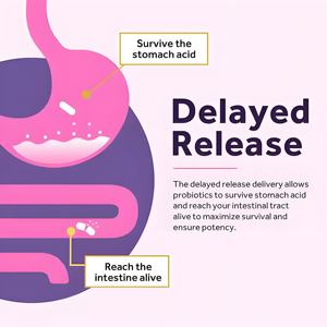 ओम/ओम निजी लेबल थोक मूल्य प्राकृतिक महिलाओं के वयस्क प्रोबायोटिक कैप्सूल भोजन पाचन के लिए पूरक आहार - Product Image 5
