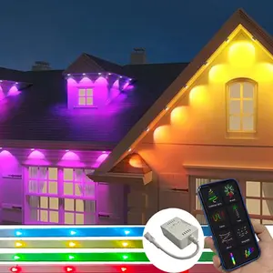 rgb pixel christmas lighted decorations rgbw ip68 high power waterproof 12v 50mm 30mm holiday pixel led point fighting