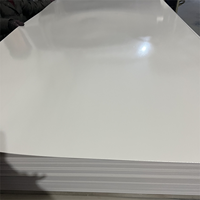 Panneau PVC multi-densité blanc 10 mm avec surface dure et noyau pour revêtement mural