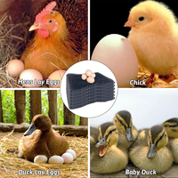 Nouveaux tapis de ponte en plastique anti-casse pour poules, lavables et réutilisables en PE, garantie 1 an pour poulaillers et fermes avicoles