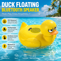 Enceinte Bluetooth Flamingo étanche IP67, enceinte flottante pour piscine, enceinte sans fil portable pour activités aquatiques en extérieur