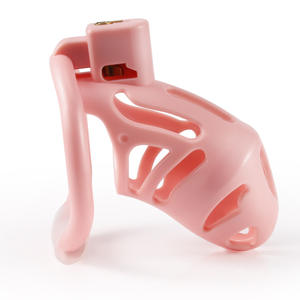 Männliche Keuschheit Lock Ring verdeckte Vogelkäfig Übung CB Penis Lock Adult Sexspielzeug für Abstinenz Dildos - Product Image 4