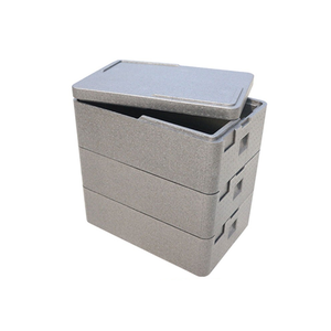 Tùy chỉnh công suất lớn cho thực phẩm trái cây bảo vệ & đệm Vật liệu EPP cách nhiệt lạnh khóa nhiệt độ hộp - Product Image 4