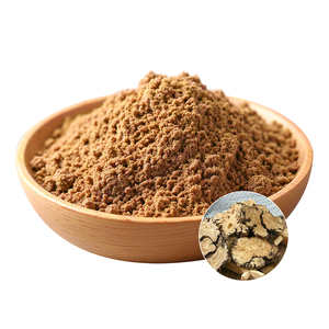 Ekstrak <span class=keywords><strong>Chuanxiong</strong></span> alami murni liusticum <span class=keywords><strong>Chuanxiong</strong></span> ekstrak <span class=keywords><strong>Hort</strong></span> Szechuan Lovage Rhizome bubuk - Product Image 3