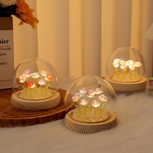 Gift Lamp Valentine's Day Birthday DIY <strong>Craft</strong> <strong>Light</strong> Room Table Lamp Decor Tulip Rose Flower <strong>Lights</strong> DIY Glass Dome Night <strong>Light</strong> - Product Image 3