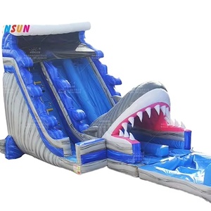 Winsun Inflatable cá mập trượt nước chạy đi xe cho các sự kiện ngoài trời Inflatable cây cọ tấn công Inflatable trượt N trượt hồ bơi thuê - Product Image 1