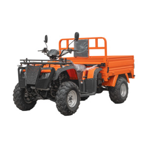 Quad utilitaire 4x4 287cc KING GANG DL300U-1.2A |   Quad tout-terrain CVT électrique et à démarrage thermique pour la ferme - Product Image 2