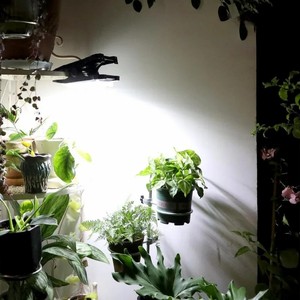 <span class=keywords><strong>Lampe</strong></span> solaire à clip avec détecteur de mouvement, éclairage extérieur étanche pour jardin, fixation murale avec sécurité automatique, clips décoratifs pour parasol de jardin - Product Image 3