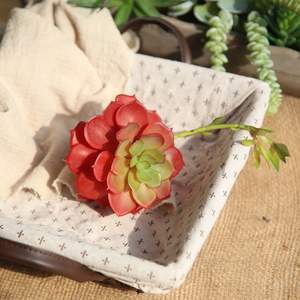 Suculenta Artificial de Interior <span class=keywords><strong>Echeveria</strong></span> Lenore Dean, Planta Natural 2024 - Product Image 3