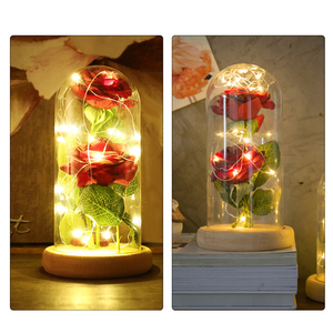 Nuevo Diseño La Bella y la Bestia 2 Piezas <span class=keywords><strong>Rosa</strong></span> Artificial <span class=keywords><strong>de</strong></span> Seda Rosas Eternas Preservadas <span class=keywords><strong>con</strong></span> Luces LED en Cúpula <span class=keywords><strong>de</strong></span> <span class=keywords><strong>Cristal</strong></span> - Product Image 2