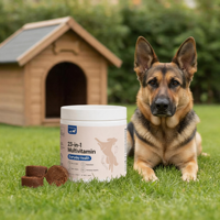 Complément alimentaire quotidien pour chiens 23-en-1, multivitamines sous forme de friandises molles, pour toutes les générations, mobilité des articulations, santé intestinale, santé de la peau et du pelage
