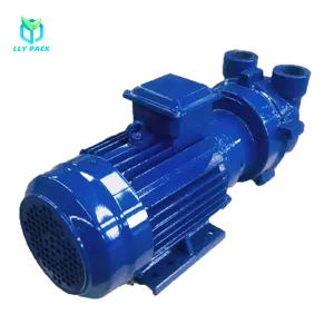 Factory Price 33Mbar Vacuum Pressure Horizontal Gas Water Pumping Circulation Vacuum Pump