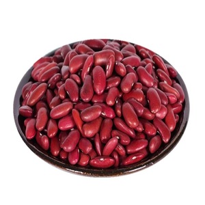 Frijoles Rojos Naturales Orgánicos Crudos con Alto Contenido de Proteínas para Dietas Vegetarianas y Preparación de Comidas a Base de Plantas - Product Image 4