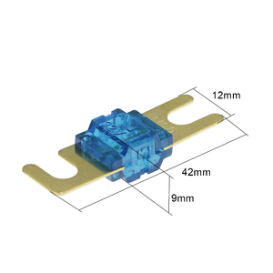 <span class=keywords><strong>ANL</strong></span> Gold placcato Blade bullone tipo U fusibili Audio Audio 20A 30A 40A 60A 70A 100A 125A 150A 175A 200A 32V - Product Image 4
