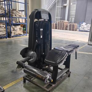 Appareil de musculation professionnel AN37 Horizontal Leg Curl – Équipement de fitness haut de gamme pour l'entraînement de force (vente aux enchères) - Product Image 4