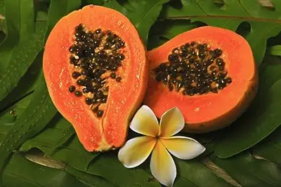 High Quality Papaya Extract Caria Pappaya Extract