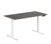 Bureau assis-debout électrique moderne et abordable à moteur unique, réglable en hauteur, ergonomique, en acier inoxydable