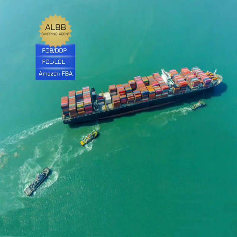China import export custom clearing agent Freight forwarders saudi arabia usa uk canada customs clearance service