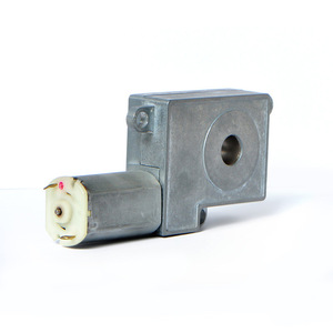 <b>Worm</b> Gear Motor 12V Steel Core Components For Smart Locks With Hollow Shaft Design - Product Image 2
