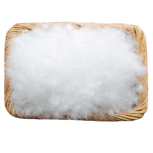 Plumes de <span class=keywords><strong>duvet</strong></span> d'oie blanches lavées de la marque MH, fabriquées en Chine par RDS - Product Image 1