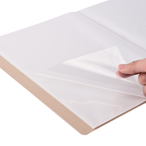 AFFISURE Wholesale Solid Color Customized A4 Foam PP Cover File Folder Clear Book 40 60 Pages Display Book - Product Image 2