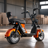 Brezilya Kapıdan Kapıya Citycoco Elektrikli Scooter 1000W 60V20A Depo Stoğu Yetişkin Şişman Lastikli E-Scooter