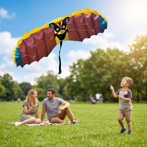 Cometa SEE01 de Doble Línea, Cuerpo Flexible, Deportiva y Acrobática con Tela a Cuadros - Fácil de Volar en Brisa Ligera para Edades de 0 a 24 Meses - Product Image 2