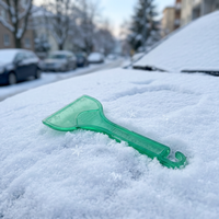 Grattoir à glace écologique pour le nettoyage de la neige et de la glace