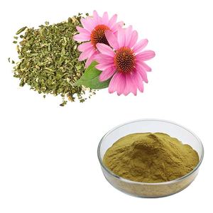 Fabrika kaynağı ekinezya tozu ekinezya <span class=keywords><strong>Purpurea</strong></span> özü <span class=keywords><strong>Echinacea</strong></span> özü ile yüksek kalite - Product Image 2