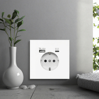 Prise Murale USB Type C Delviz Standard UE, Prise de Courant 16A USBA+USBC, Port de Charge 5V 2100MA, Protection Contre les Surcharges, CA 110V-250V