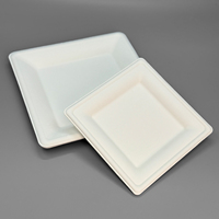 Assiettes carrées biodégradables en bagasse de canne à sucre de 6, 8 et 10 pouces – Assiettes jetables robustes en canne à sucre pour fêtes, dîners et collations