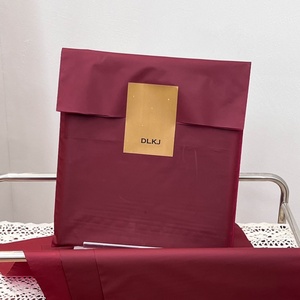 Bolsa de Compras de Plástico, Bolsa con Logotipo Personalizado, Bolsa de Mano de PE, Bolsa de Mano con Boca Plana y Pegatinas, para Tiendas de Ropa Femenina - Product Image 2