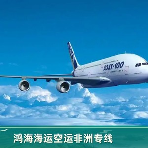 Logística Marítima y Aérea de Hon Hai Africa, Entrega Puerta a Puerta, Envío Exprés para Transporte de Carga a África con Doble Despacho de Aduanas - Product Image 4