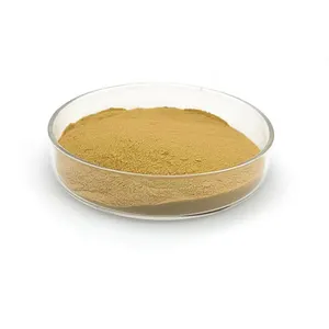 Food Grade Pure Ingredients 10 1 20 1 Cinnamon Bark Extract Powder Cinnamon Bark Oil Extraction